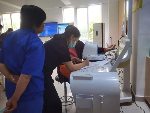 体医融合 金山信息咨询服务的创新实践与发展前景